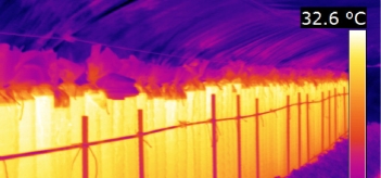 Solar Energy for heating greenhouses at night